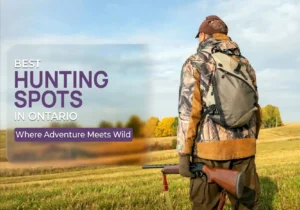 hunting - Land Leaser
