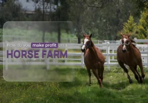 horse farm - Land Leaser