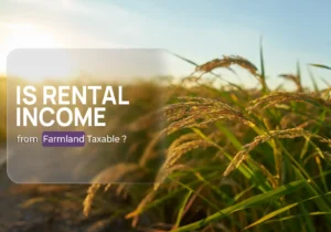 Rental Income - Land Leaser